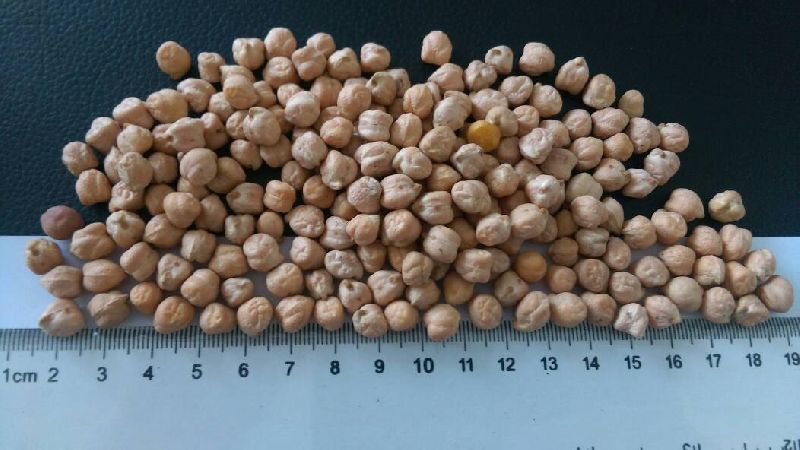 Chick Peas