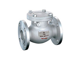 wafer swing check valve