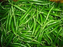 Indian Fresh Green Chilly