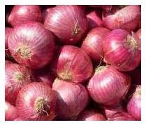 Indian Fresh Onions