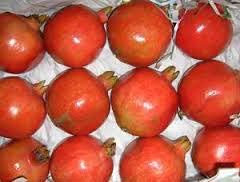 Indian Fresh Pomegranate