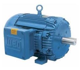 Explosion Proof Electric Motor