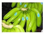 COMMON Green Banana