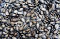 Watermelon Seeds, Pumkin Seeds