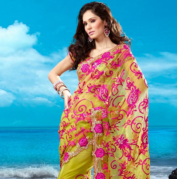 embroidery saree