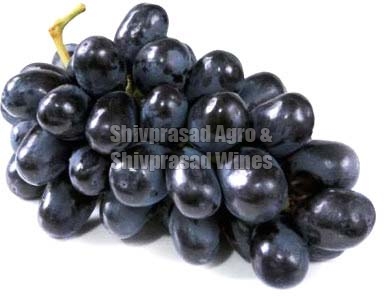 Organic Fresh Black Grapes, Packaging Type : Curated Box