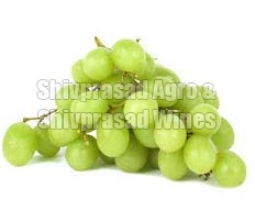 Organic Fresh Green Grapes, Packaging Type : Curated Box