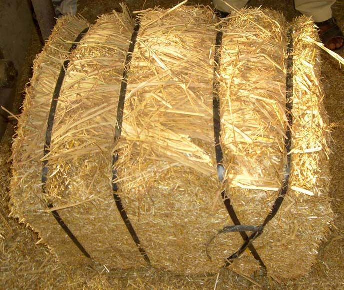 Wheat Straw, Animal Feed Buy Animal Feed for best price at USD 95 / 98