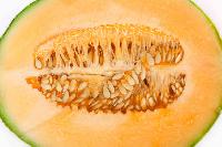 muskmelon seed