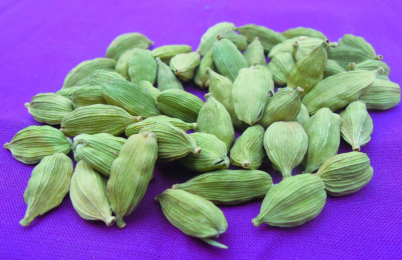 Green Cardamom