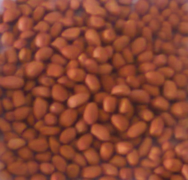 Peanut Kernels