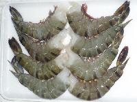 Black Tiger Shrimp