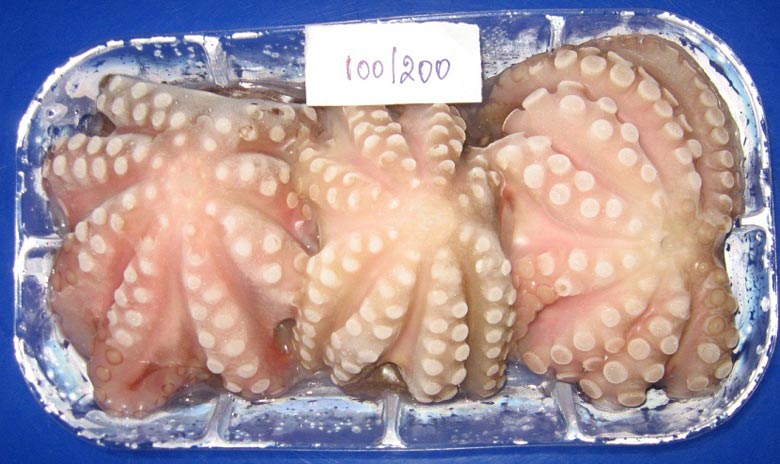 Frozen Octopus, for Cooking., Certification : FDA Certified