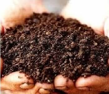 Bio Organic Fertilizer, for Agriculture, Purity : 100%