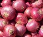fresh red onion
