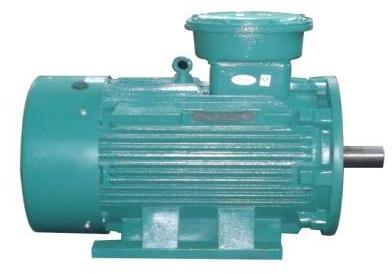 Explosion Proof Asynchronous Motor