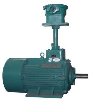 Explosion Proof Asynchronous Motor