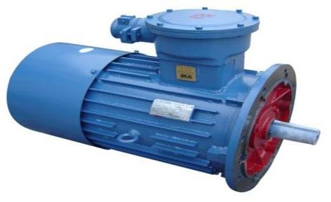 YBS Series Explosion Proof Asynchronous Motor (YBS-1)