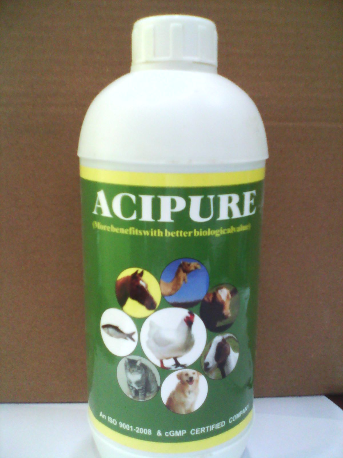 animal nutrition supplements Manufacturer & Manufacturer from Bangalore