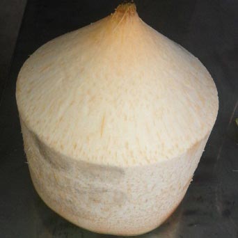 Trimmed Coconut