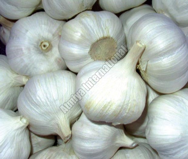 Garlic, Packaging Type : Plastic Bag, Jute Bag
