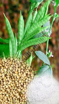 Organic Guar Gum, for Agriculture, Medicinal, Purity : 99%