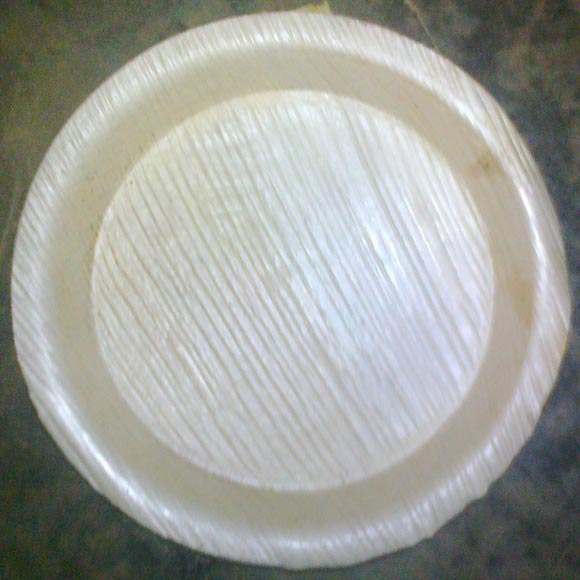 Areca Leaf Plate 3