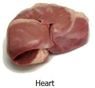 Buffalo Heart