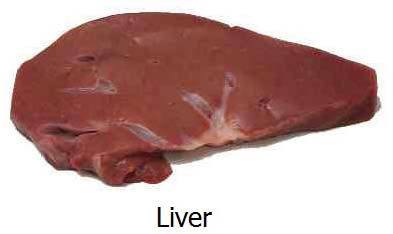 Buffalo Offals Liver, Feature : Delicious Taste, Good In Protein, Healthy To Eat