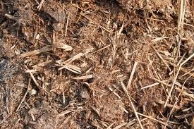 High Quality Organic Fertilizer