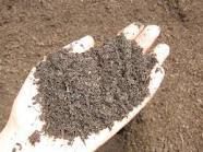 Synthetic Fertilizers