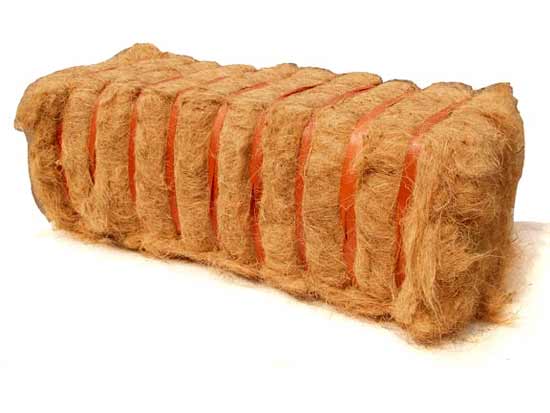 coir fiber