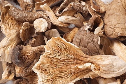 Dry Oyster Mushroom Powder