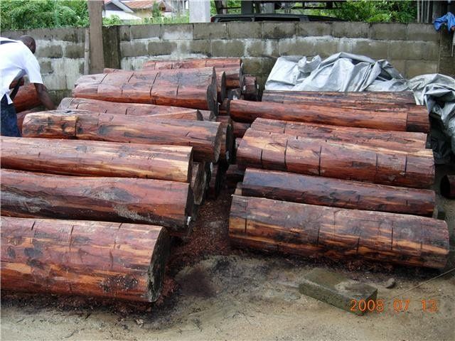 Timber Logs