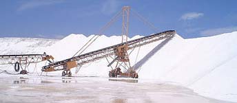 Pure Dried Industrial Salt