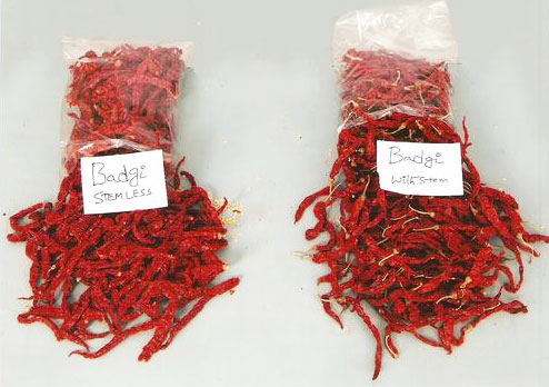 Byadgi Red Chillies