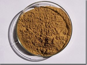 Irvingia Gabonensis Extract