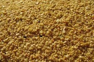 Soybean Meal - Animal Feed