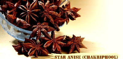 Star Anise
