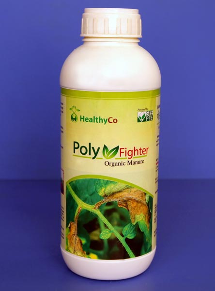 PolyFighter