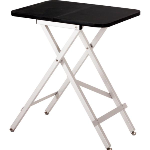 Portable Competition Table