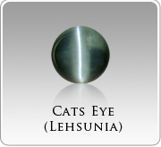 Catseye - (lehsunia)