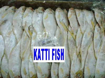 Katti Fish