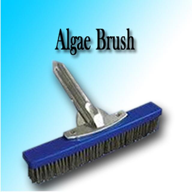 Algae Brush