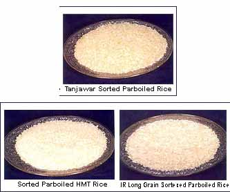 Hard Organic Parboiled rice, Variety : Short Grain