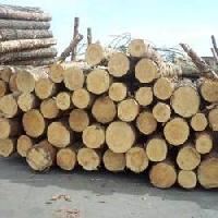 Geetha Timber High quality raw material Pine Wood Logs