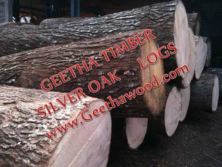Silver Oak Log