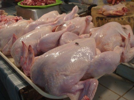 Grade A Halal Brazilian Whole Frozen Chicken