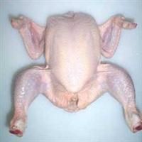 Halal Grade A Brazilian Frozen Whole Chicken