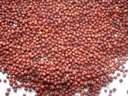 ragi flour